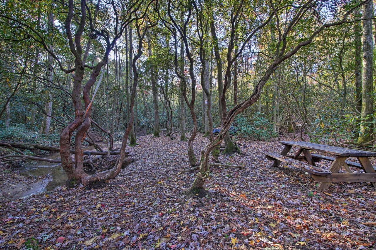 5-Acre North Georgia Mountain Retreat With Creek! Villa Sautee Nacoochee Eksteriør billede